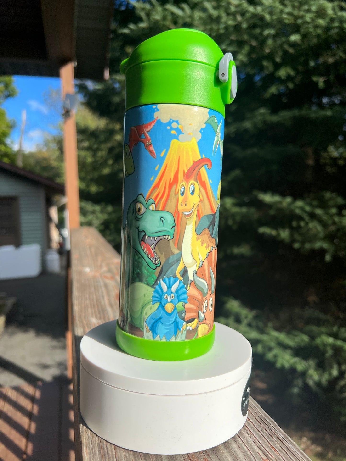 Kids  Dinosaur volcano 12oz tumbler