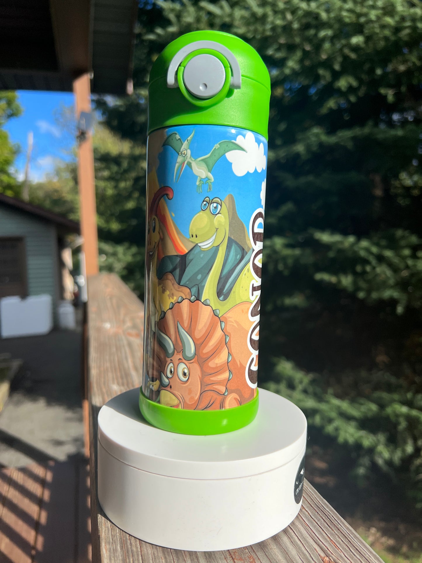 Kids  Dinosaur volcano 12oz tumbler
